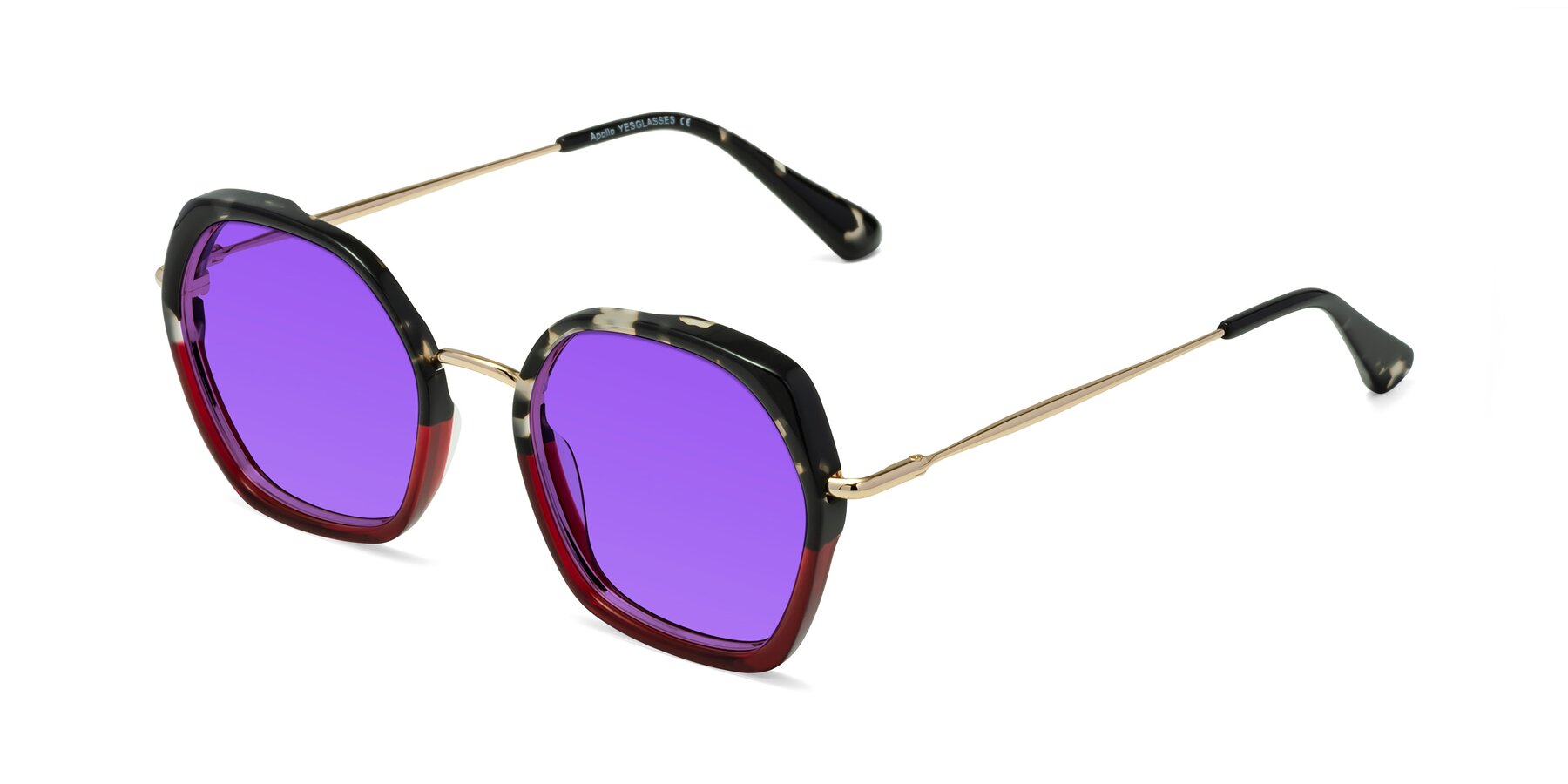Angle of Apollo in Tortoise-Wine with Purple Tinted Lenses