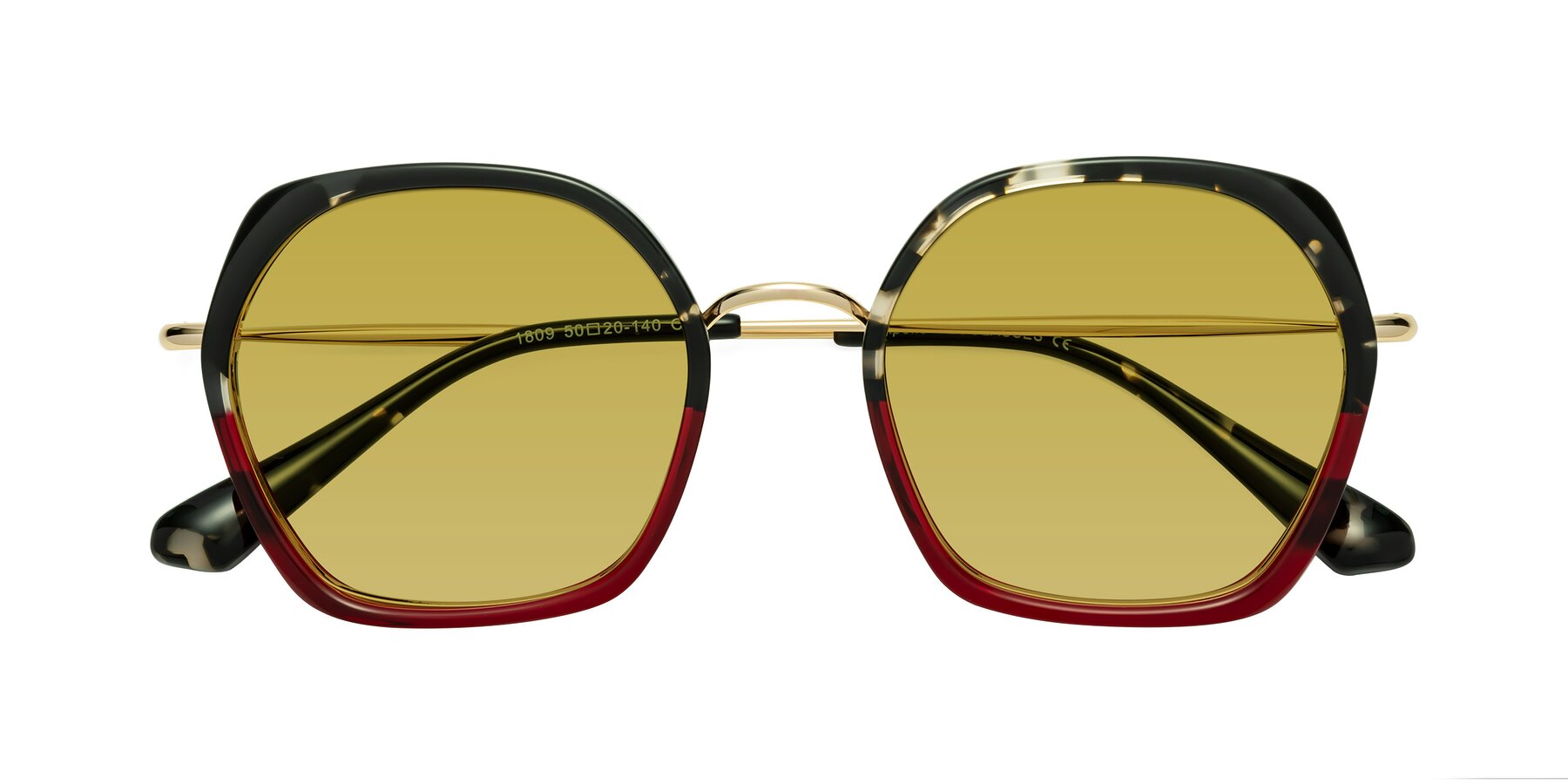 Folded Front of Apollo in Tortoise-Wine with Champagne Tinted Lenses