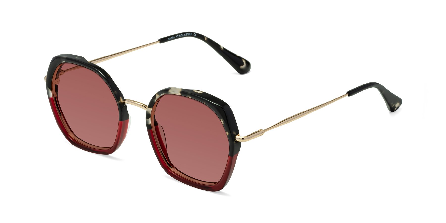 Angle of Apollo in Tortoise-Wine with Garnet Tinted Lenses