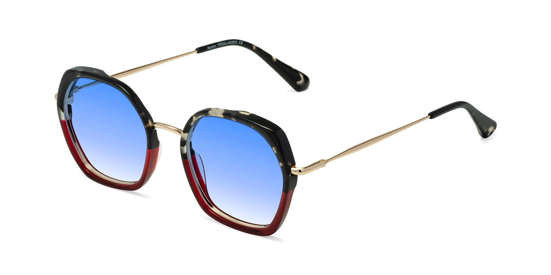 Angle of Apollo in Tortoise-Wine with Blue Gradient Lenses