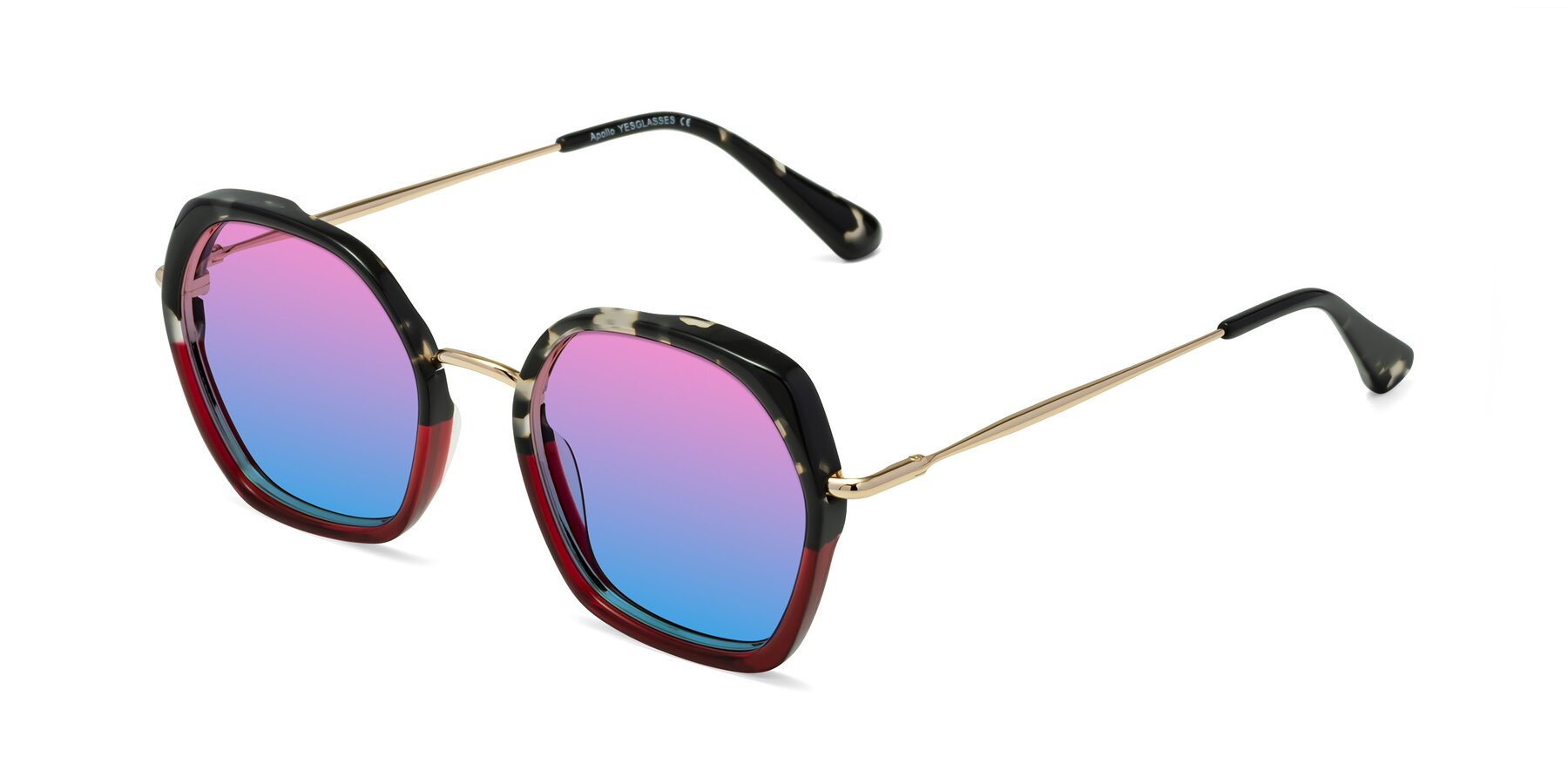 Angle of Apollo in Tortoise-Wine with Pink / Blue Gradient Lenses