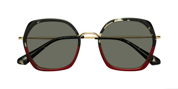 Front of Apollo in Tortoise / Wine