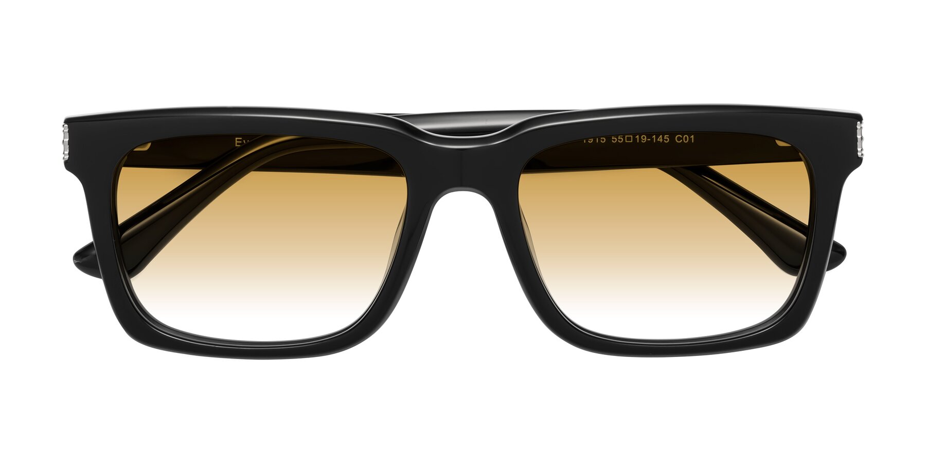 Folded Front of Evergreen in Black with Champagne Gradient Lenses