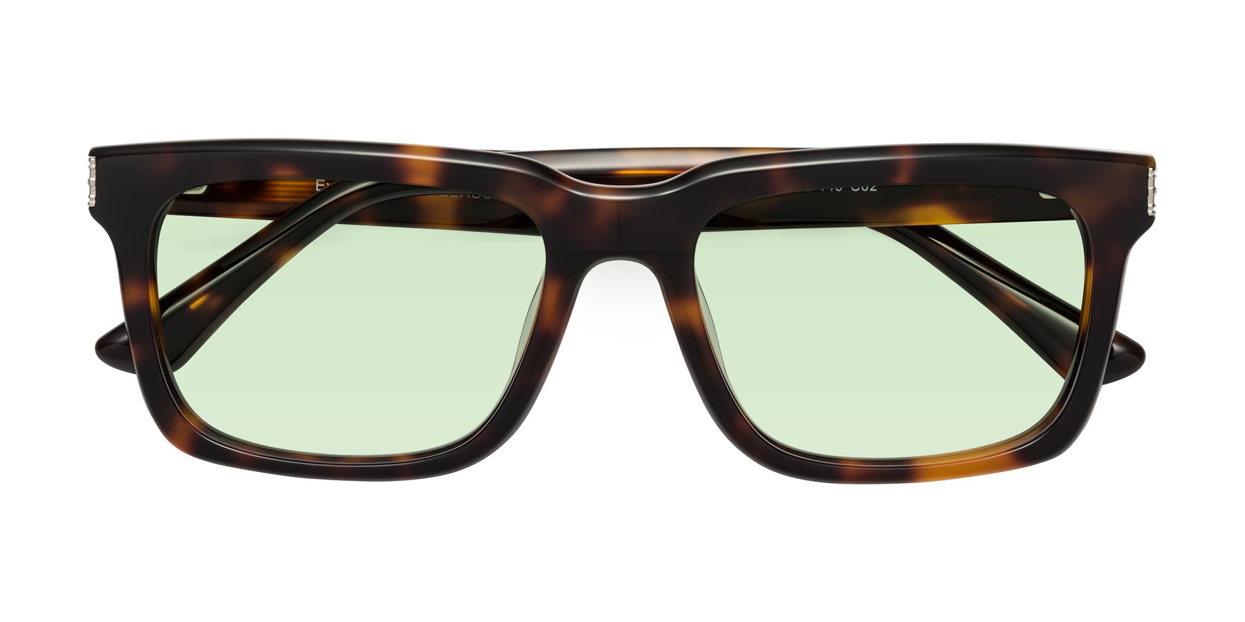 Folded Front of Evergreen in Tortoise with Light Green Tinted Lenses