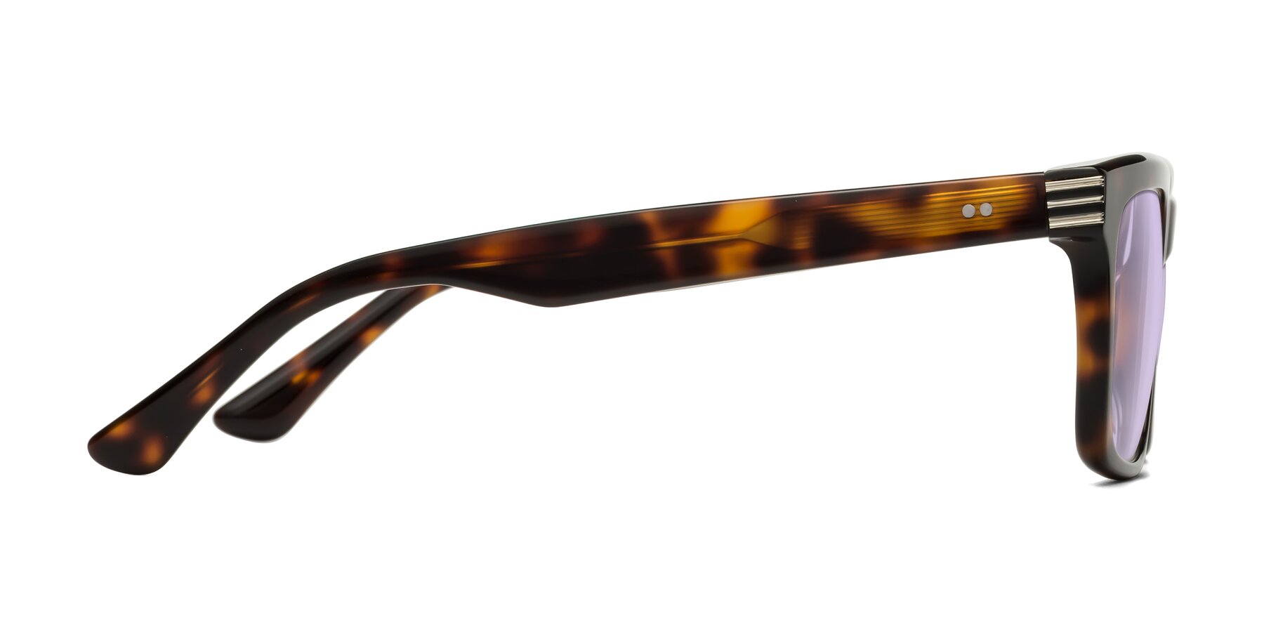 Side of Evergreen in Tortoise with Light Purple Tinted Lenses