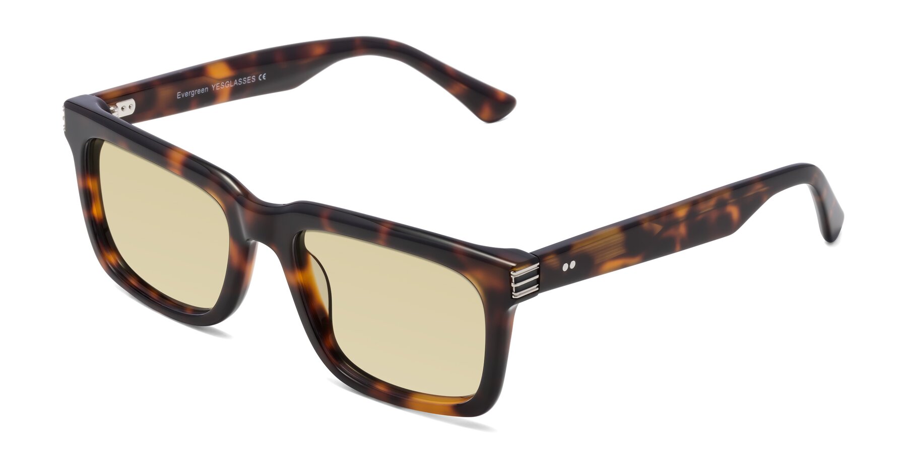 Angle of Evergreen in Tortoise with Light Champagne Tinted Lenses