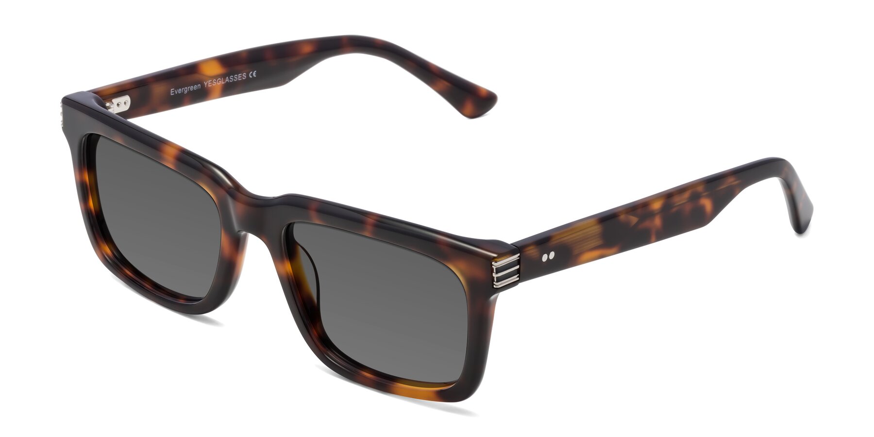 Angle of Evergreen in Tortoise with Medium Gray Tinted Lenses