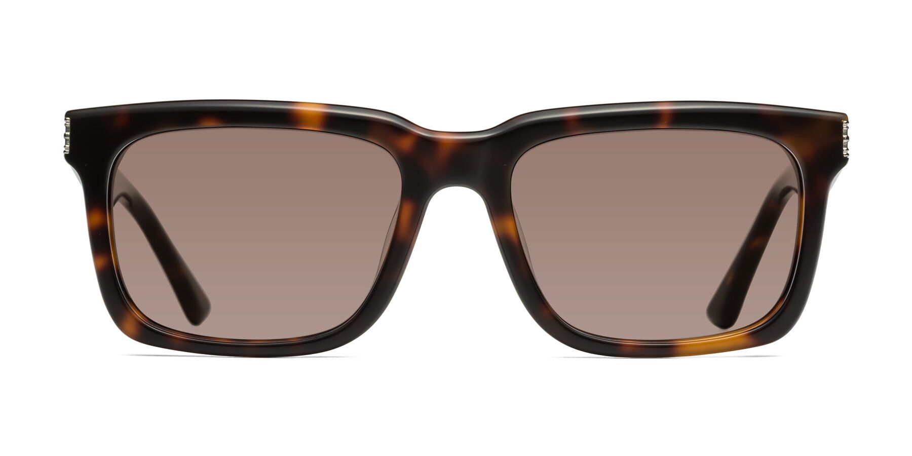 Evergreen - Tortoise Sunglasses