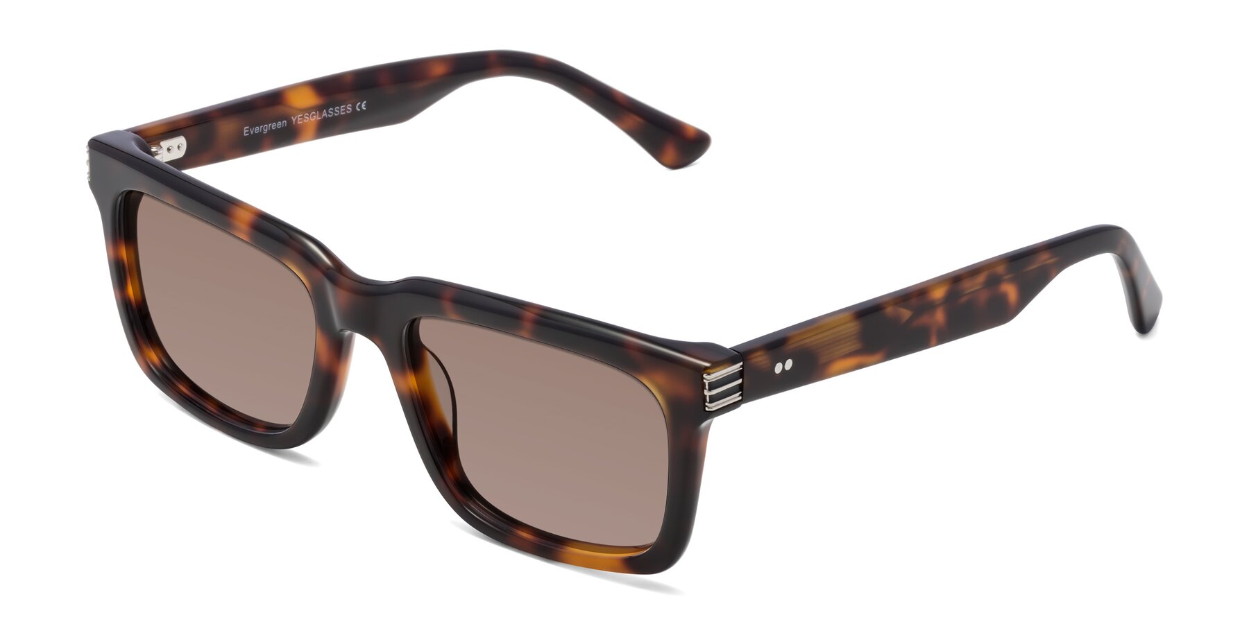 Angle of Evergreen in Tortoise with Medium Brown Tinted Lenses