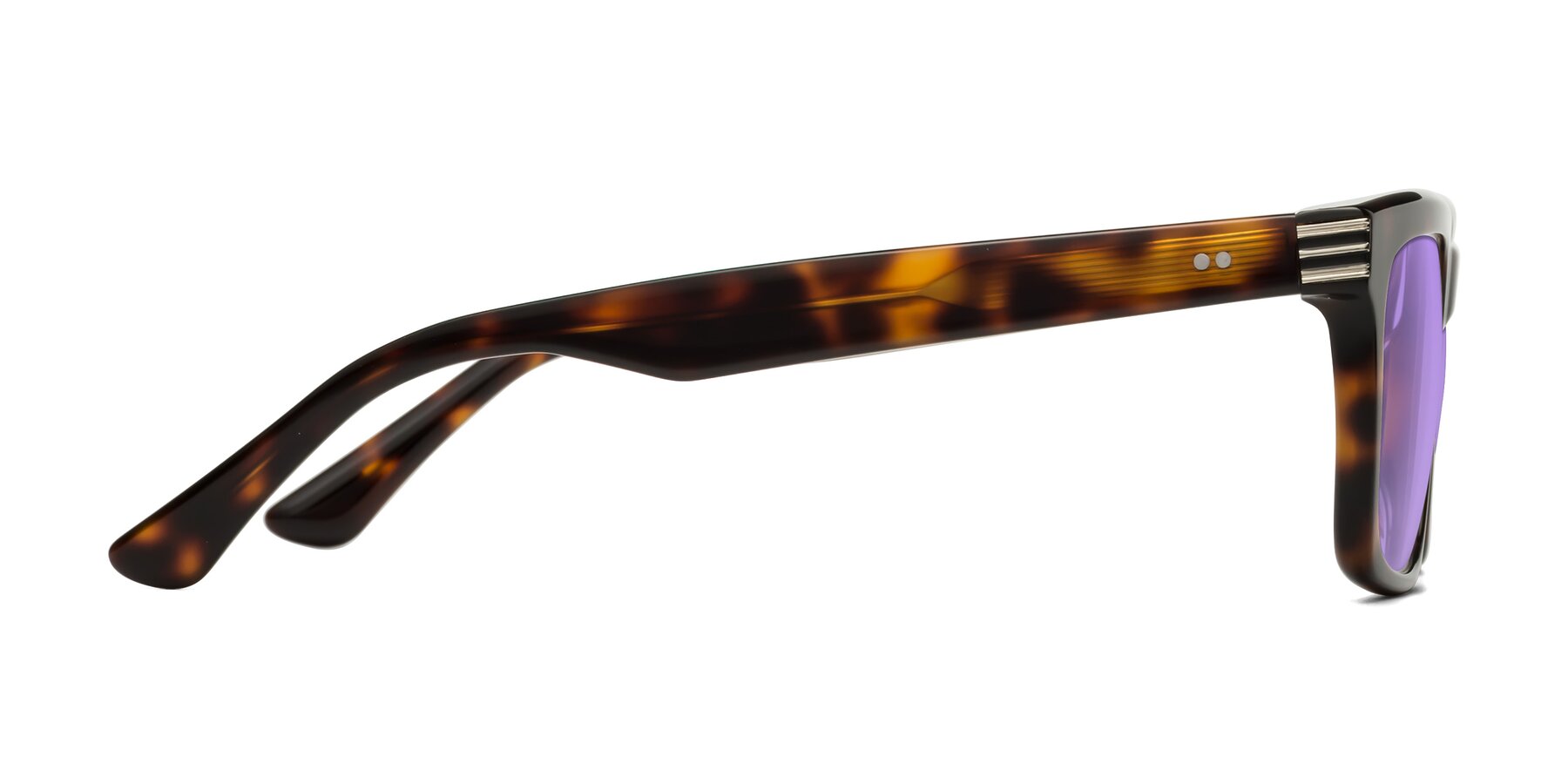 Side of Evergreen in Tortoise with Medium Purple Tinted Lenses