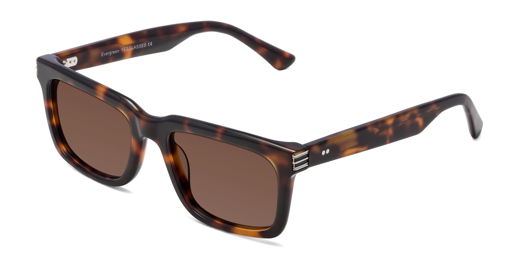 Angle of Evergreen in Tortoise with Brown Tinted Lenses