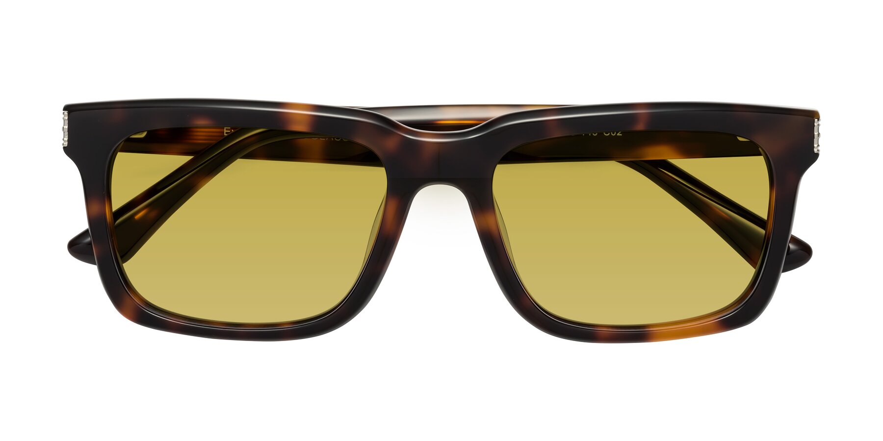 Folded Front of Evergreen in Tortoise with Champagne Tinted Lenses