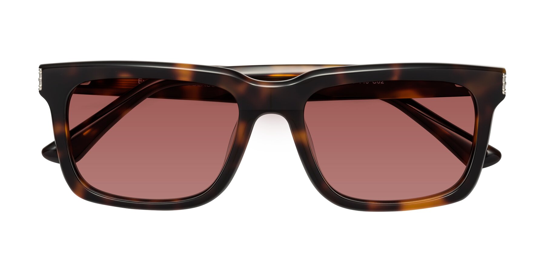 Folded Front of Evergreen in Tortoise with Garnet Tinted Lenses