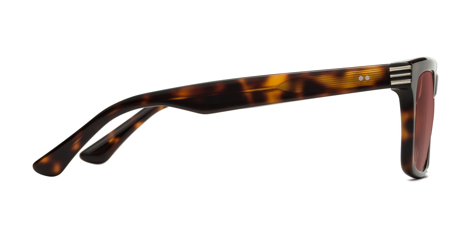 Side of Evergreen in Tortoise with Garnet Tinted Lenses