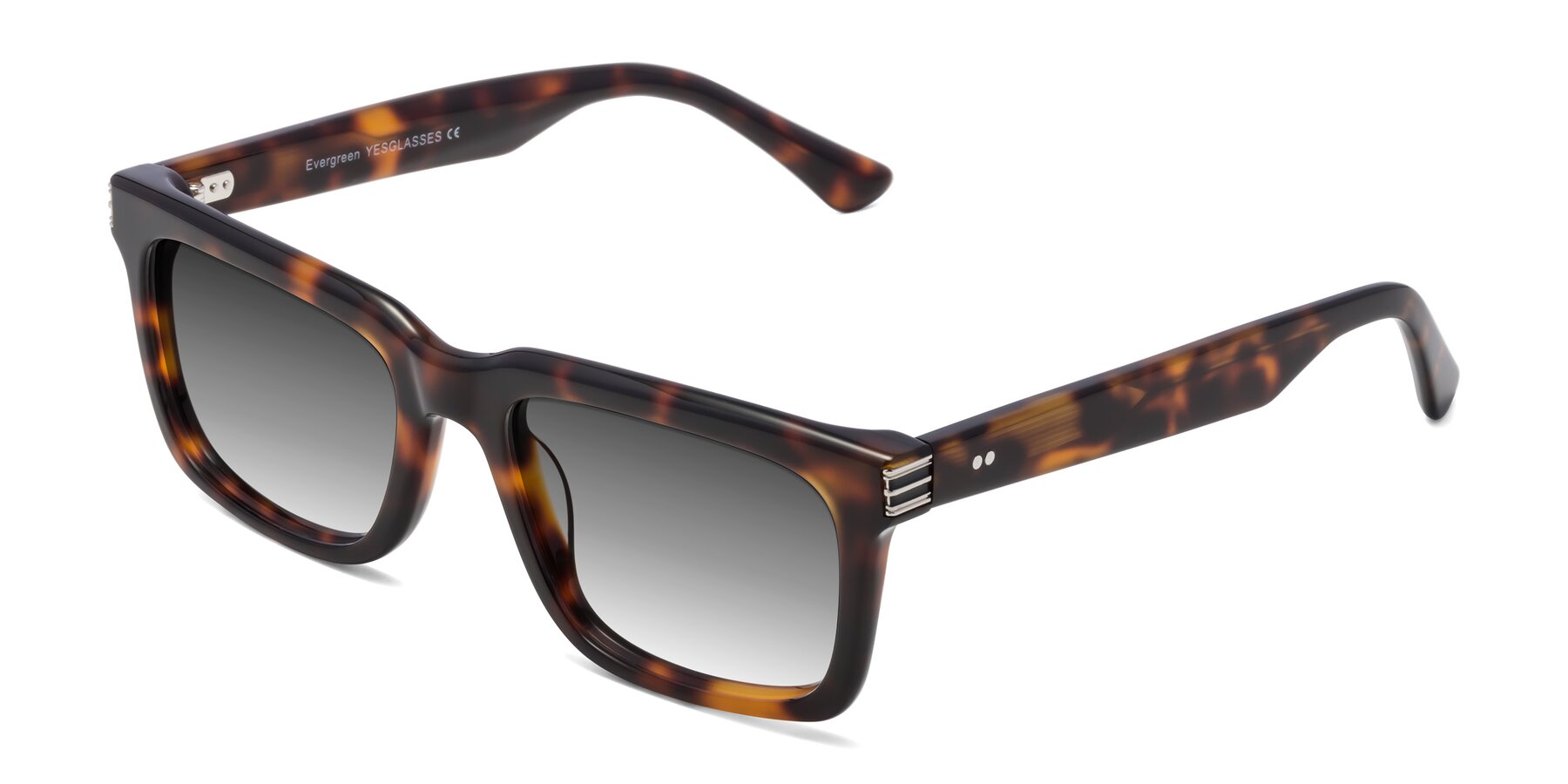 Angle of Evergreen in Tortoise with Gray Gradient Lenses