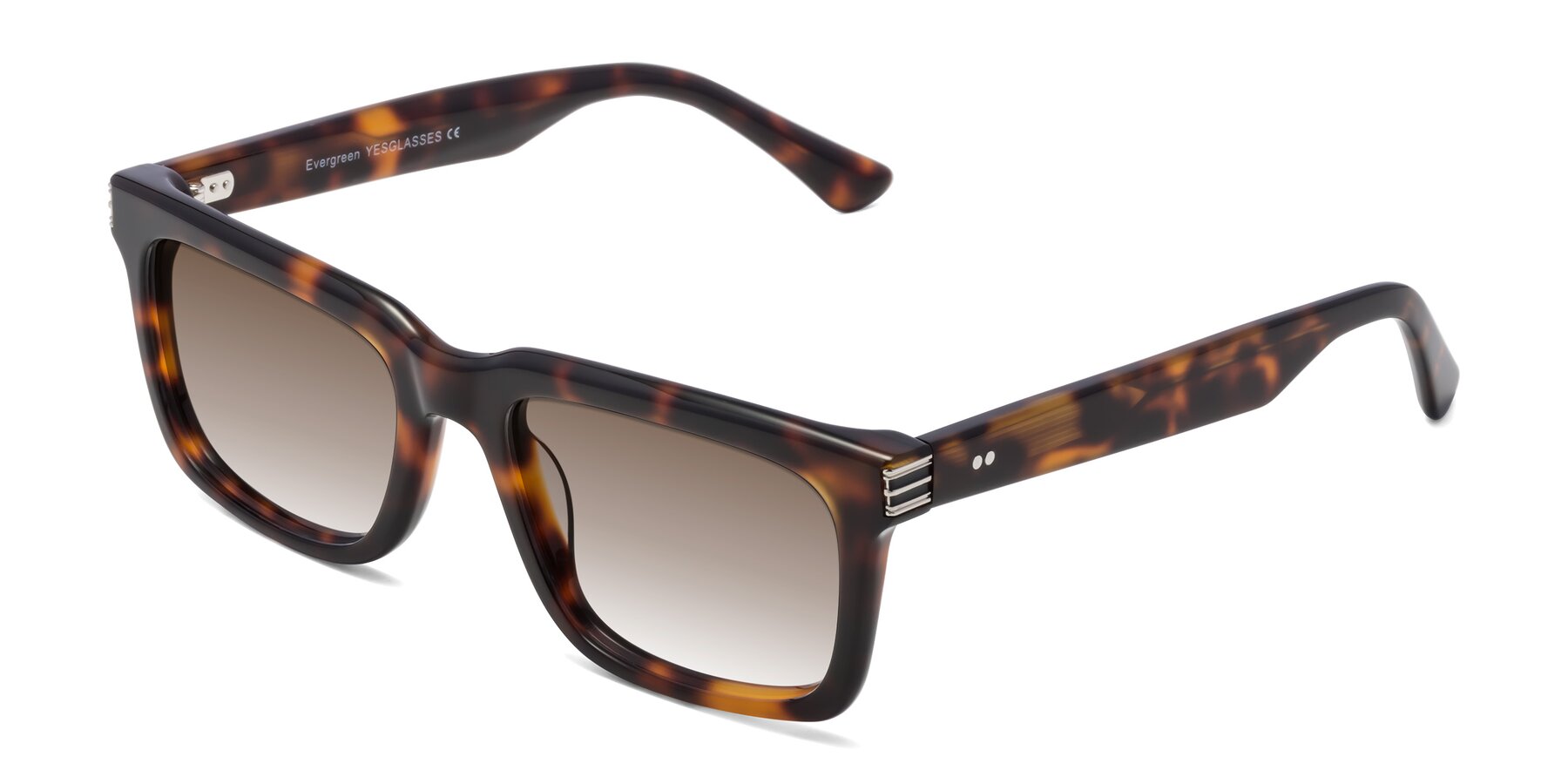 Angle of Evergreen in Tortoise with Brown Gradient Lenses