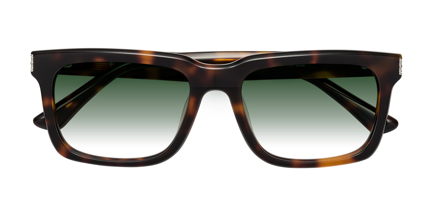 Folded Front of Evergreen in Tortoise with Green Gradient Lenses