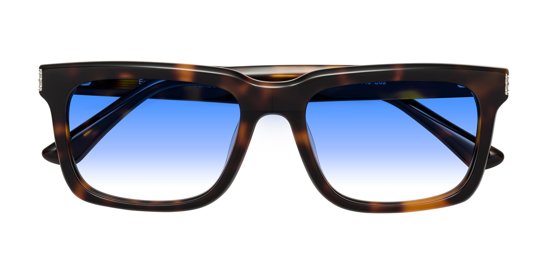 Folded Front of Evergreen in Tortoise with Blue Gradient Lenses