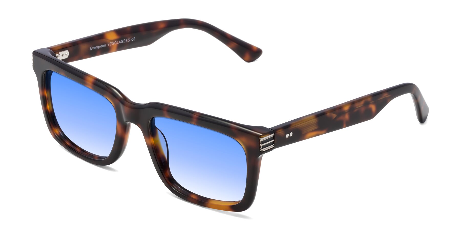 Angle of Evergreen in Tortoise with Blue Gradient Lenses