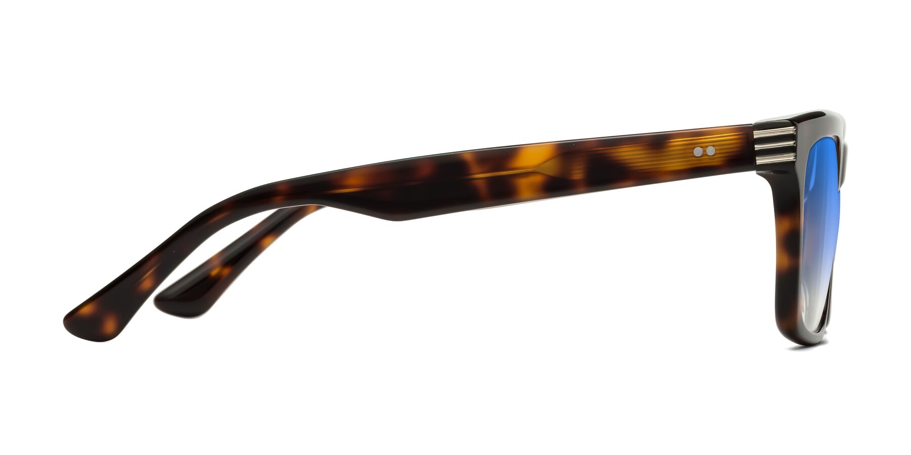 Side of Evergreen in Tortoise with Blue Gradient Lenses
