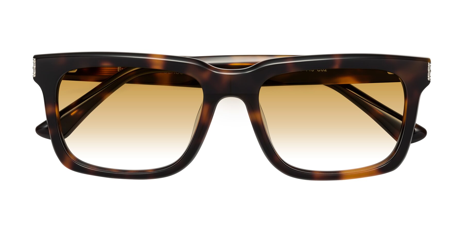 Folded Front of Evergreen in Tortoise with Champagne Gradient Lenses
