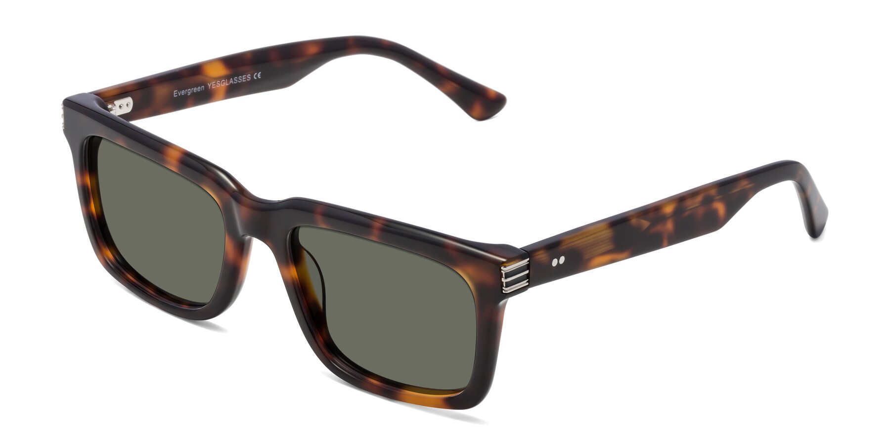 Angle of Evergreen in Tortoise with Gray Polarized Lenses