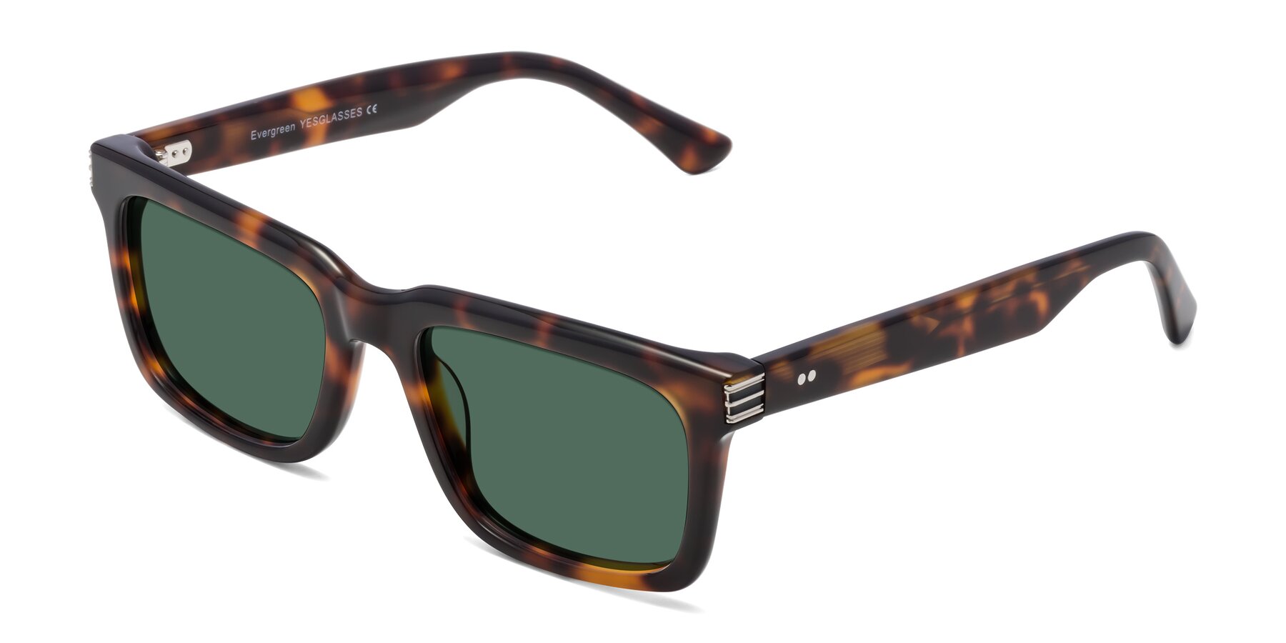 Angle of Evergreen in Tortoise with Green Polarized Lenses