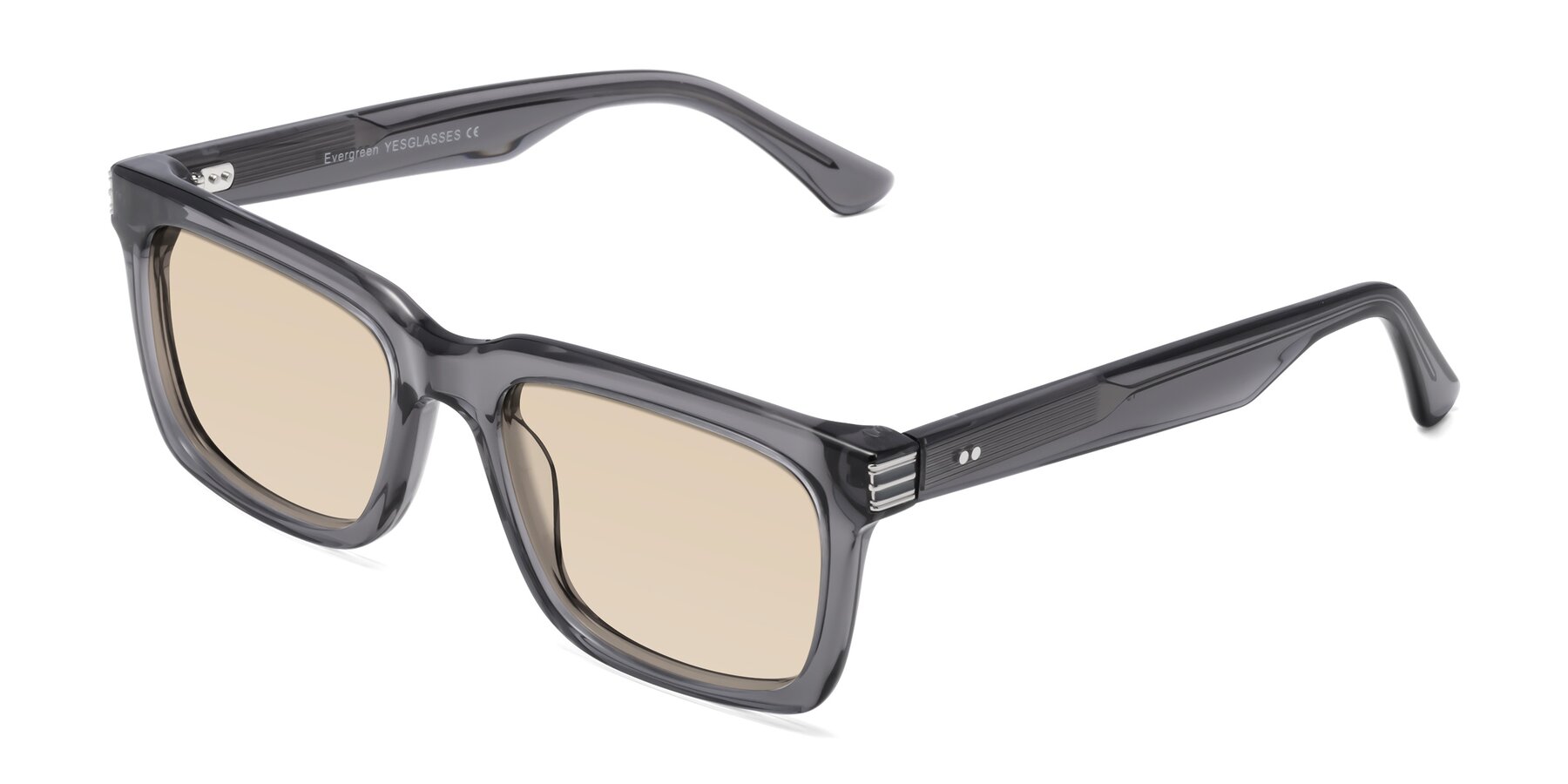 Angle of Evergreen in Transparent Gray with Light Brown Tinted Lenses