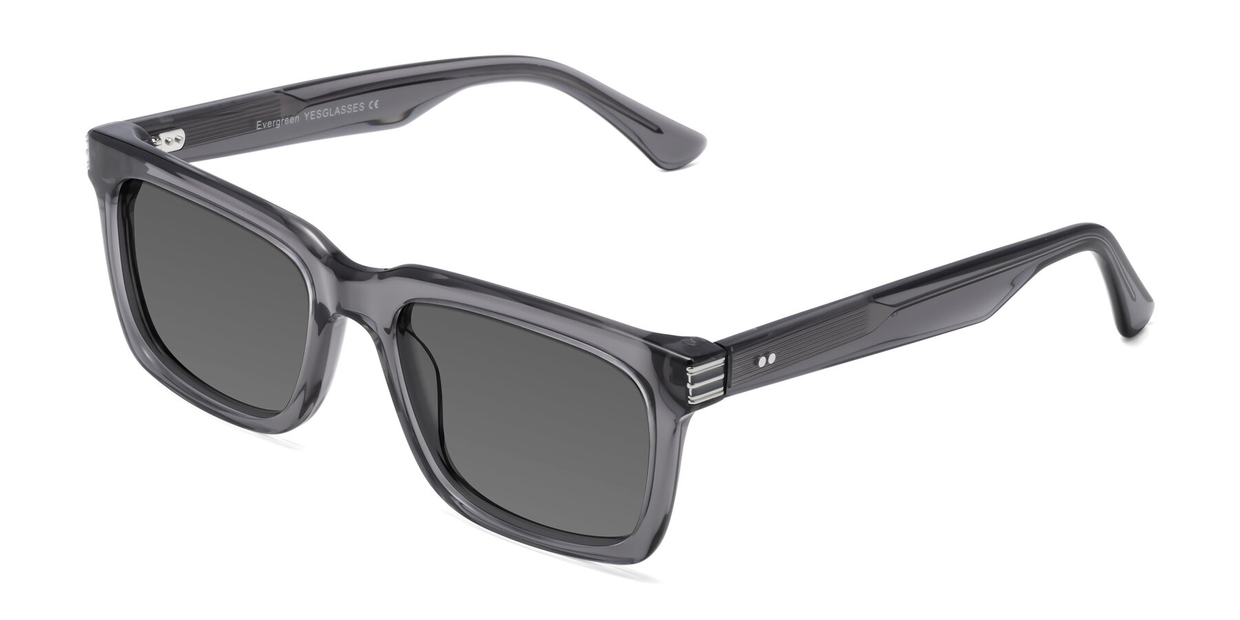 Angle of Evergreen in Transparent Gray with Medium Gray Tinted Lenses