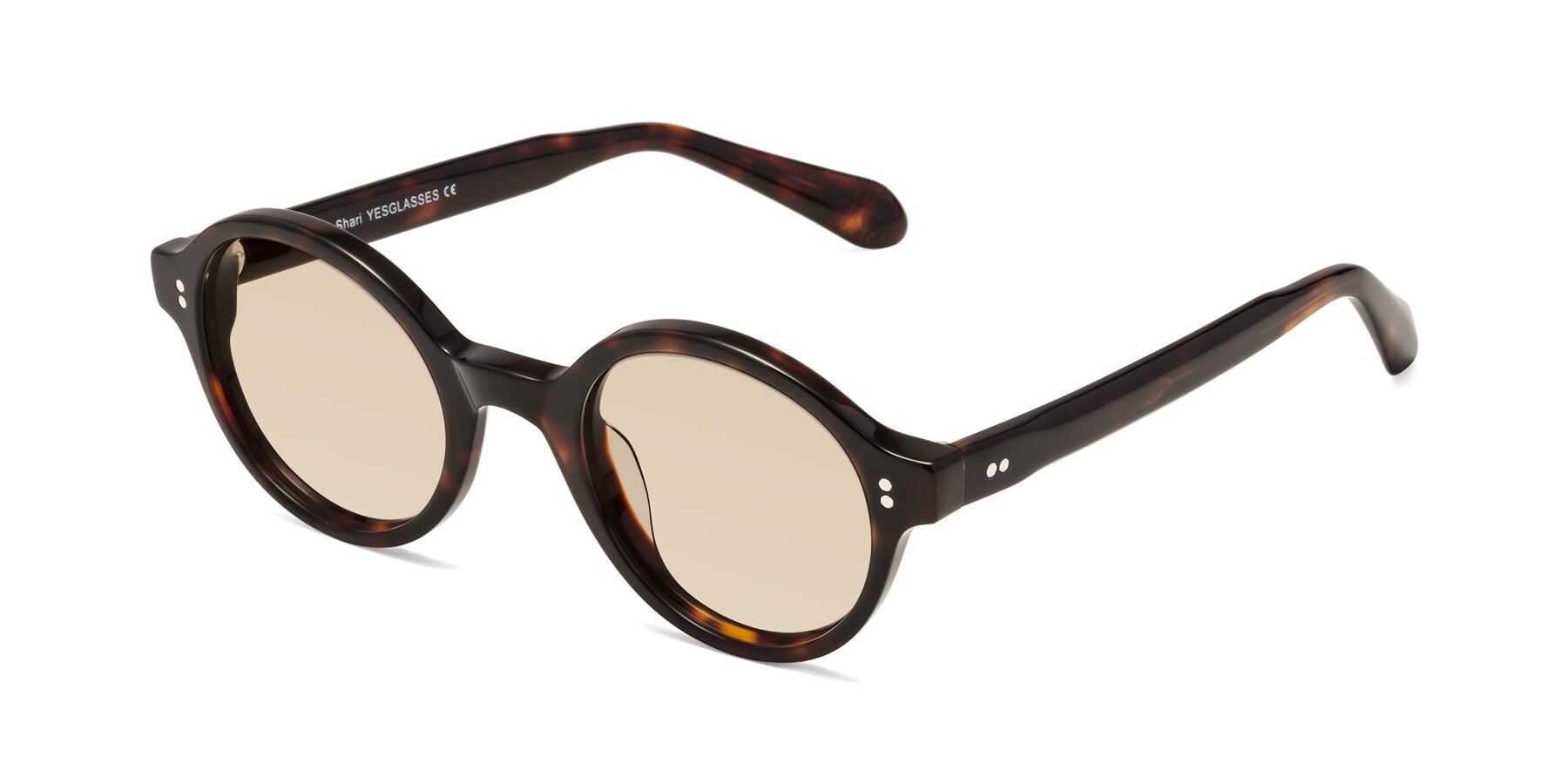 Angle of Shari in Dark Tortoise with Light Brown Tinted Lenses