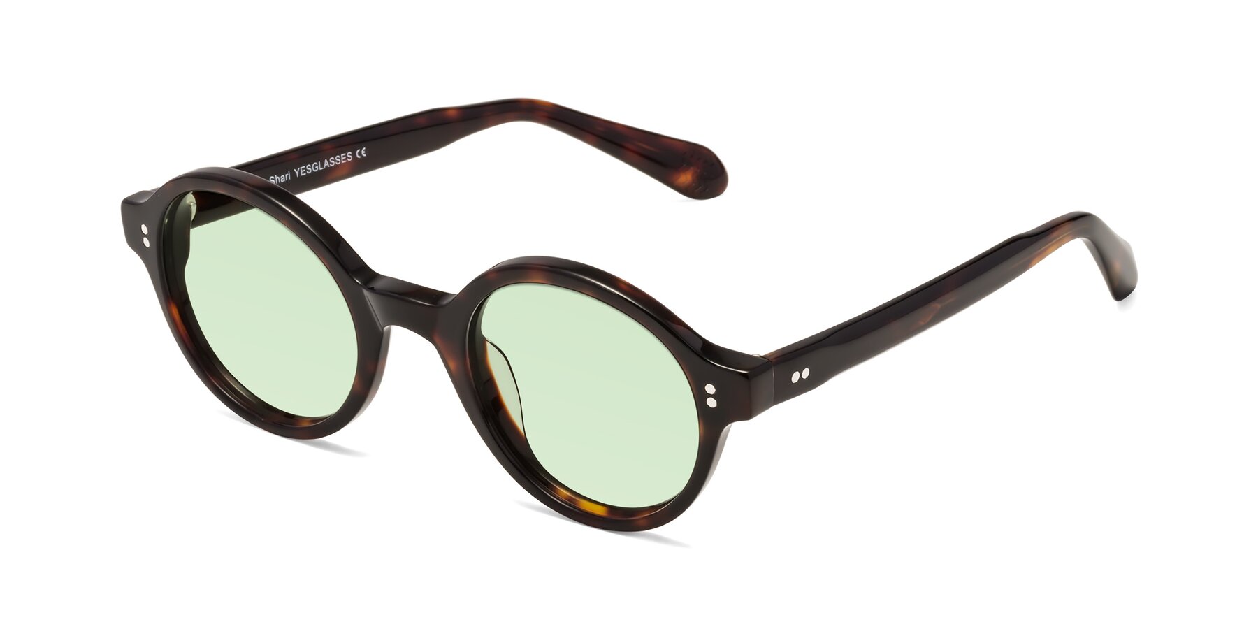 Angle of Shari in Dark Tortoise with Light Green Tinted Lenses