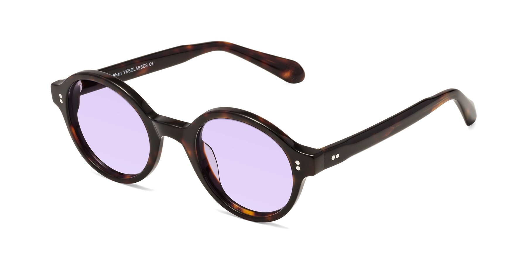 Angle of Shari in Dark Tortoise with Light Purple Tinted Lenses