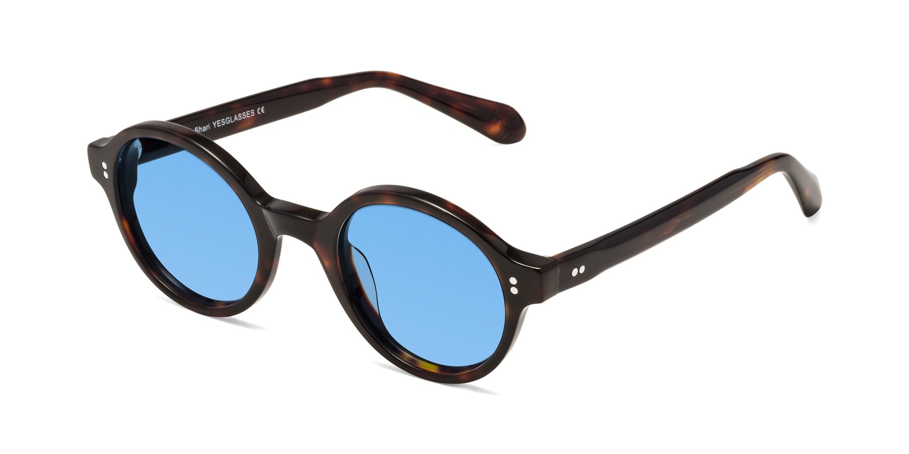 Angle of Shari in Dark Tortoise with Medium Blue Tinted Lenses