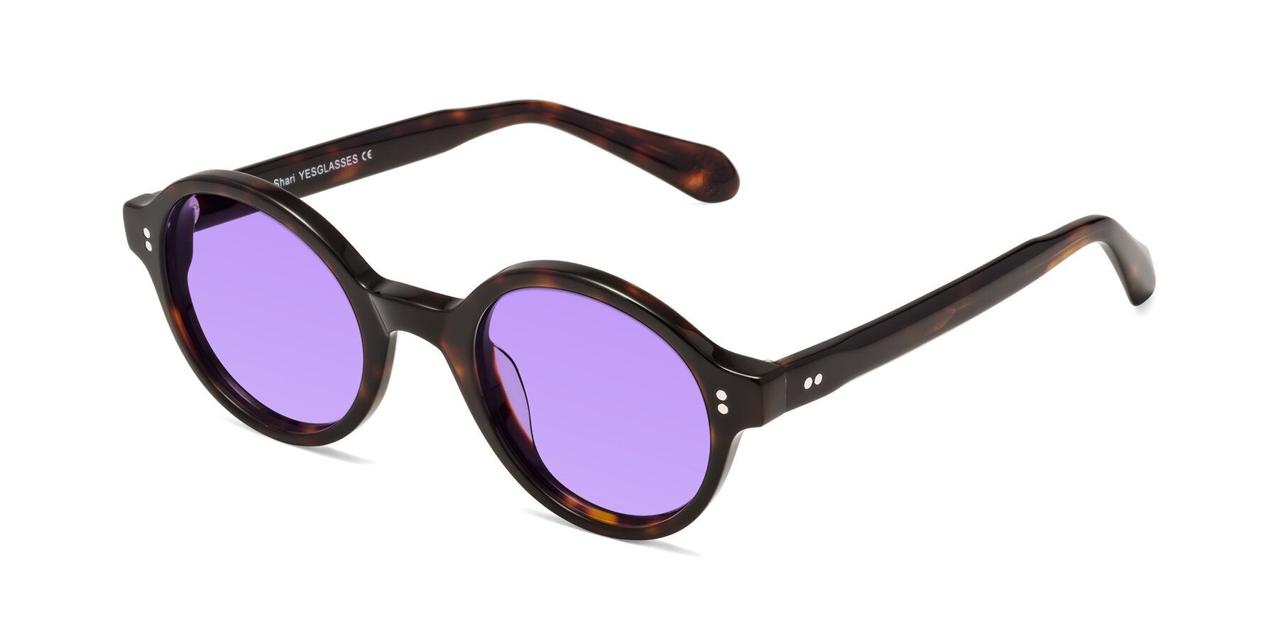 Angle of Shari in Dark Tortoise with Medium Purple Tinted Lenses