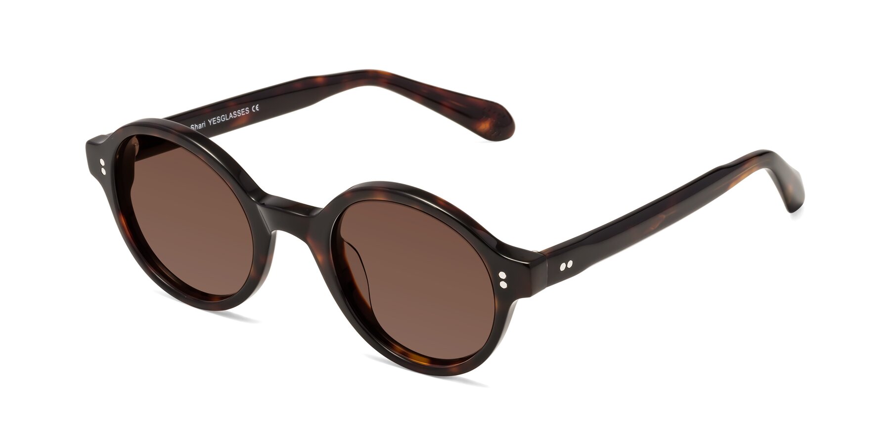 Angle of Shari in Dark Tortoise with Brown Tinted Lenses