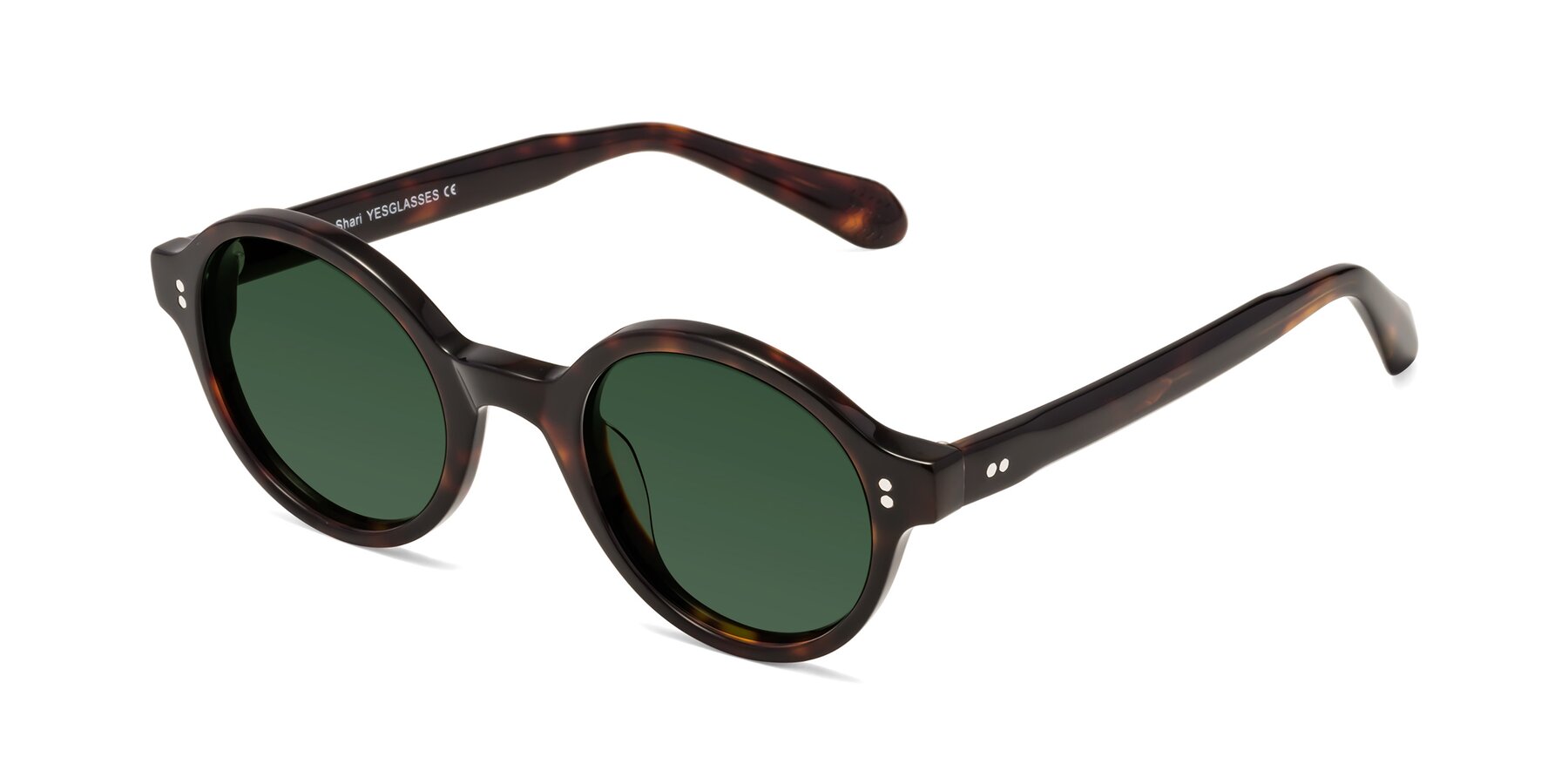 Angle of Shari in Dark Tortoise with Green Tinted Lenses