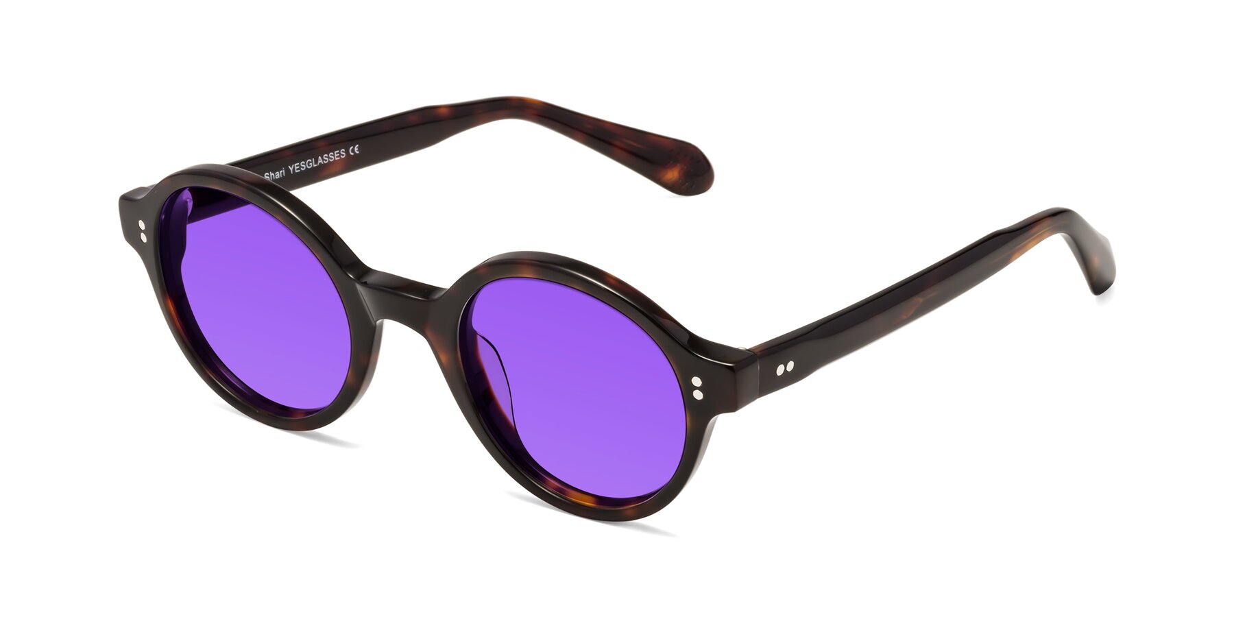 Angle of Shari in Dark Tortoise with Purple Tinted Lenses