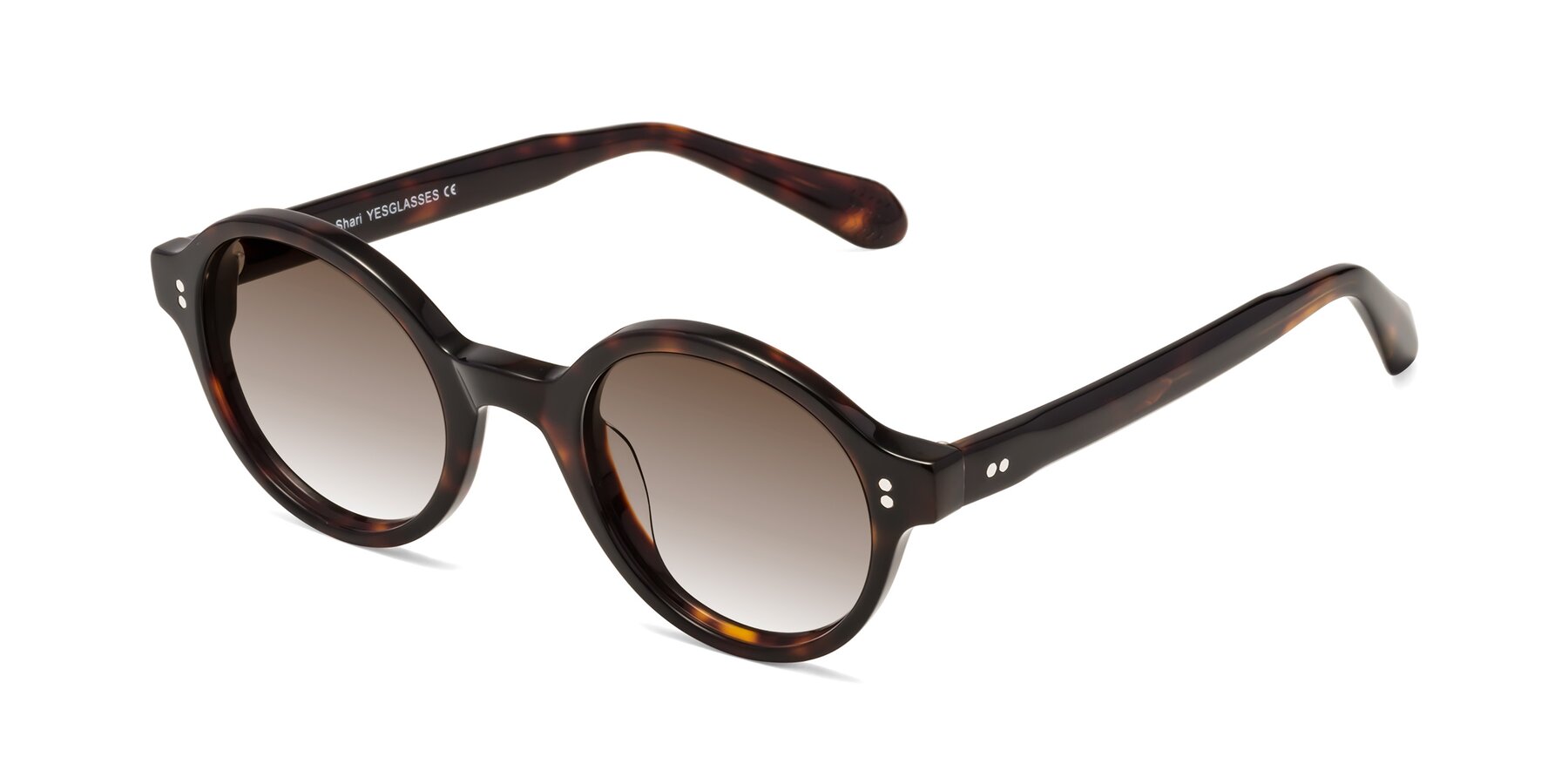Angle of Shari in Dark Tortoise with Brown Gradient Lenses