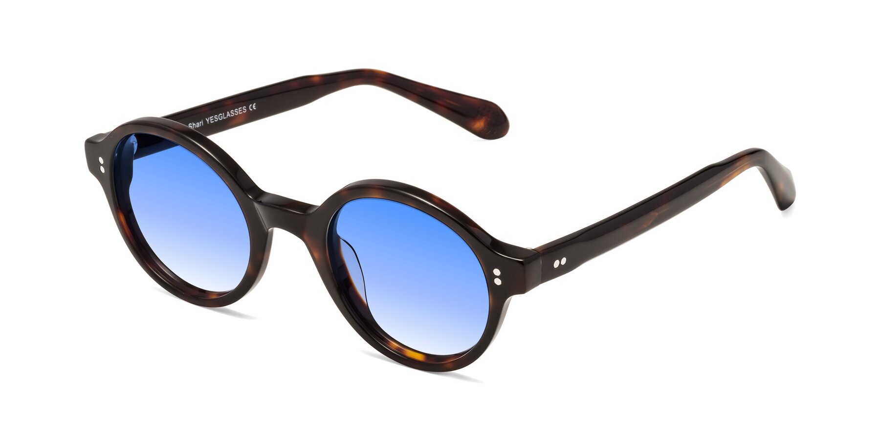 Angle of Shari in Dark Tortoise with Blue Gradient Lenses