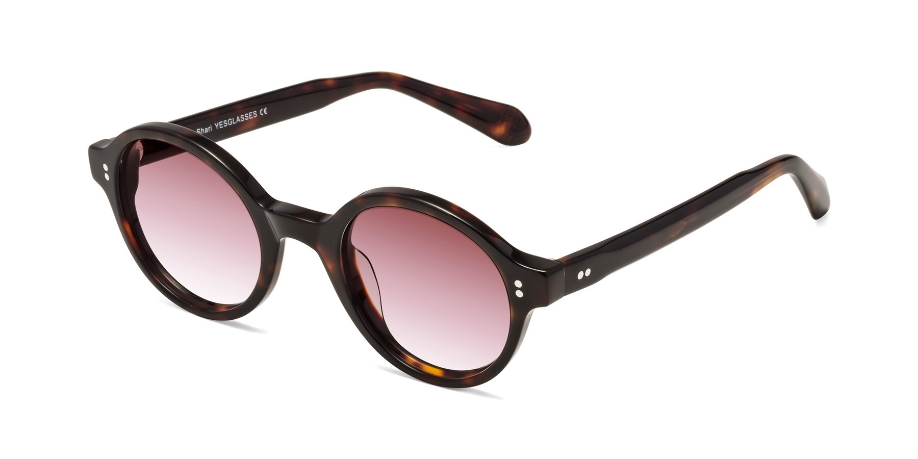 Angle of Shari in Dark Tortoise with Garnet Gradient Lenses