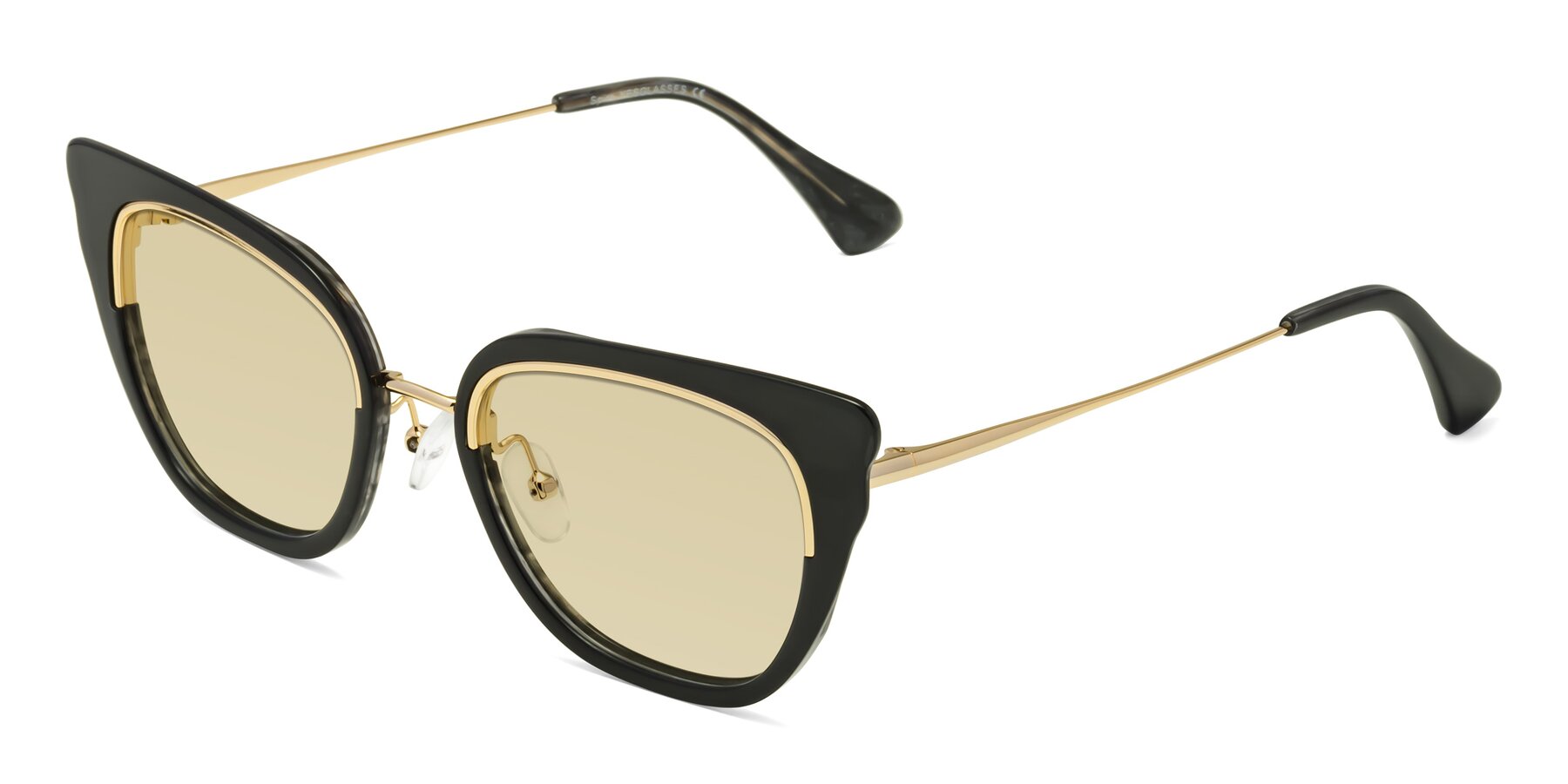 Angle of Spire in Black-Gold with Light Champagne Tinted Lenses