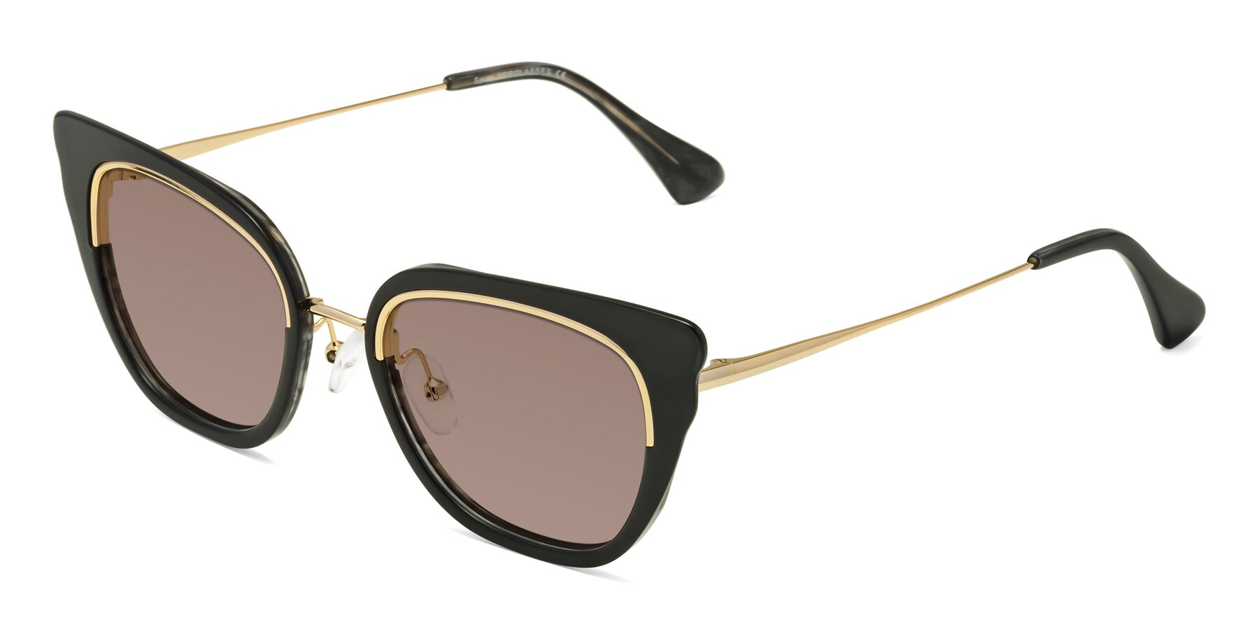 Angle of Spire in Black-Gold with Medium Brown Tinted Lenses