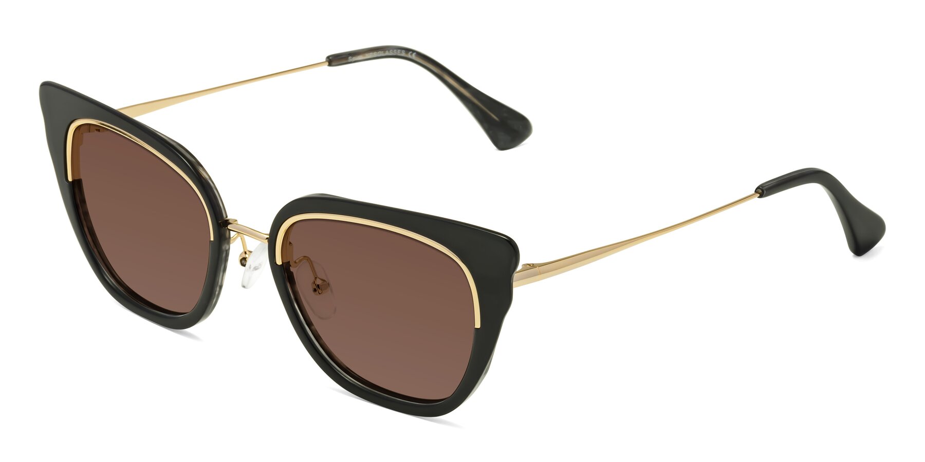 Angle of Spire in Black-Gold with Brown Tinted Lenses