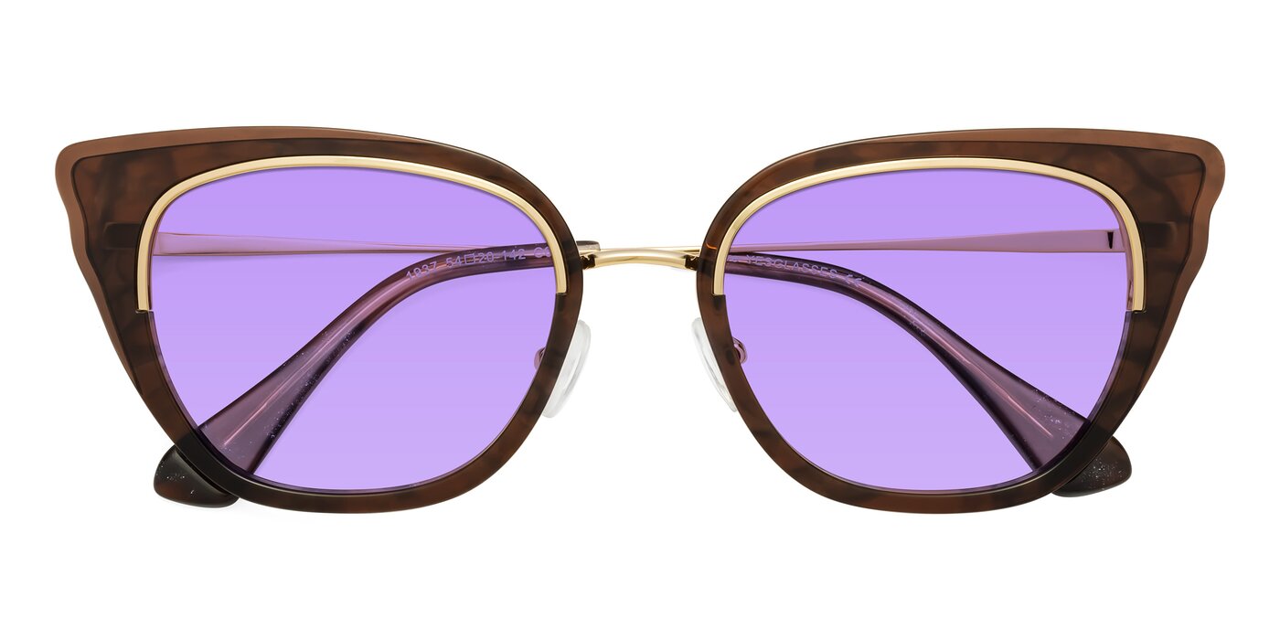 Spire - Coffee / Gold Tinted Sunglasses