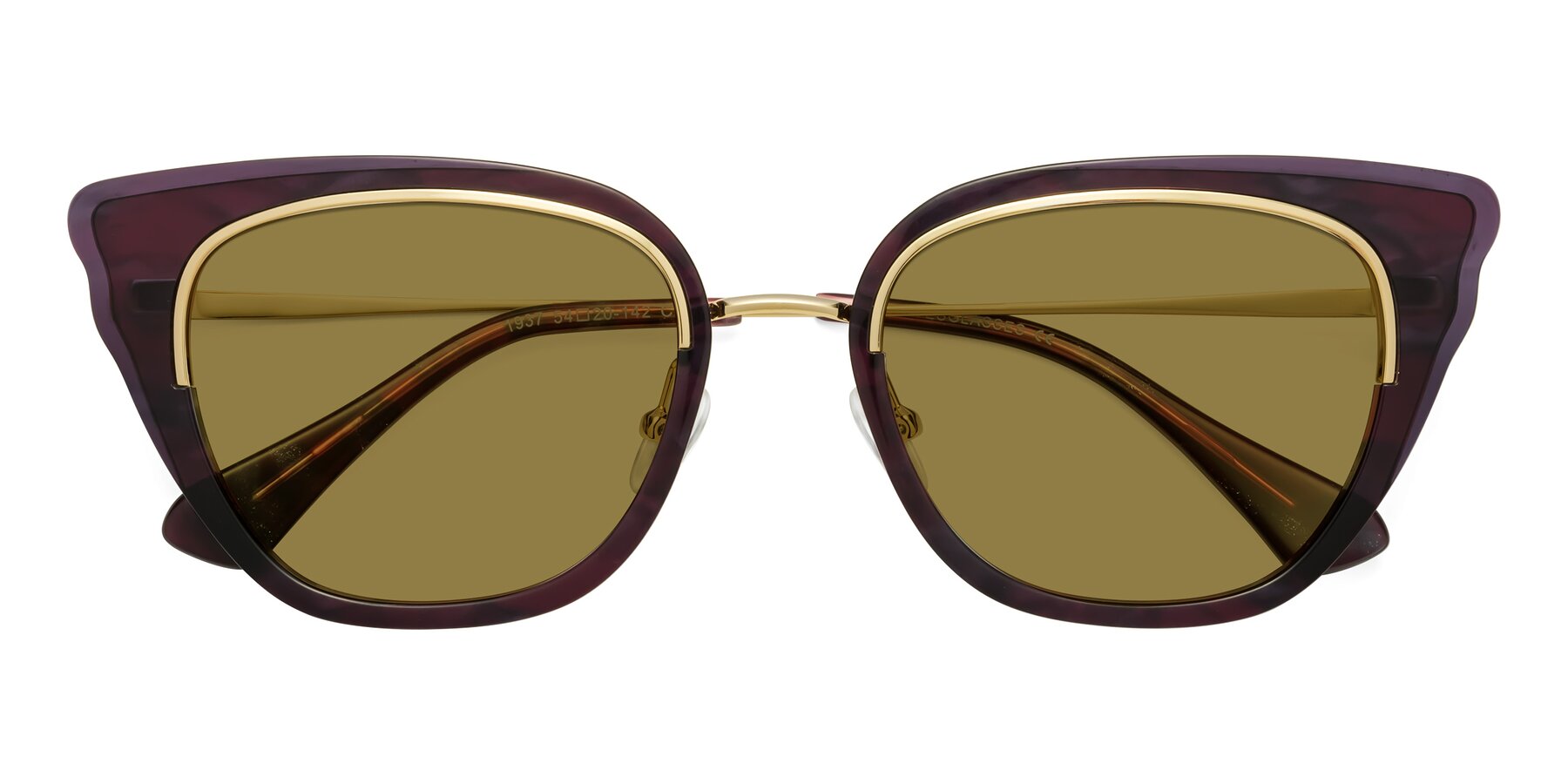 Folded Front of Spire in Dark Voilet-Gold with Brown Polarized Lenses