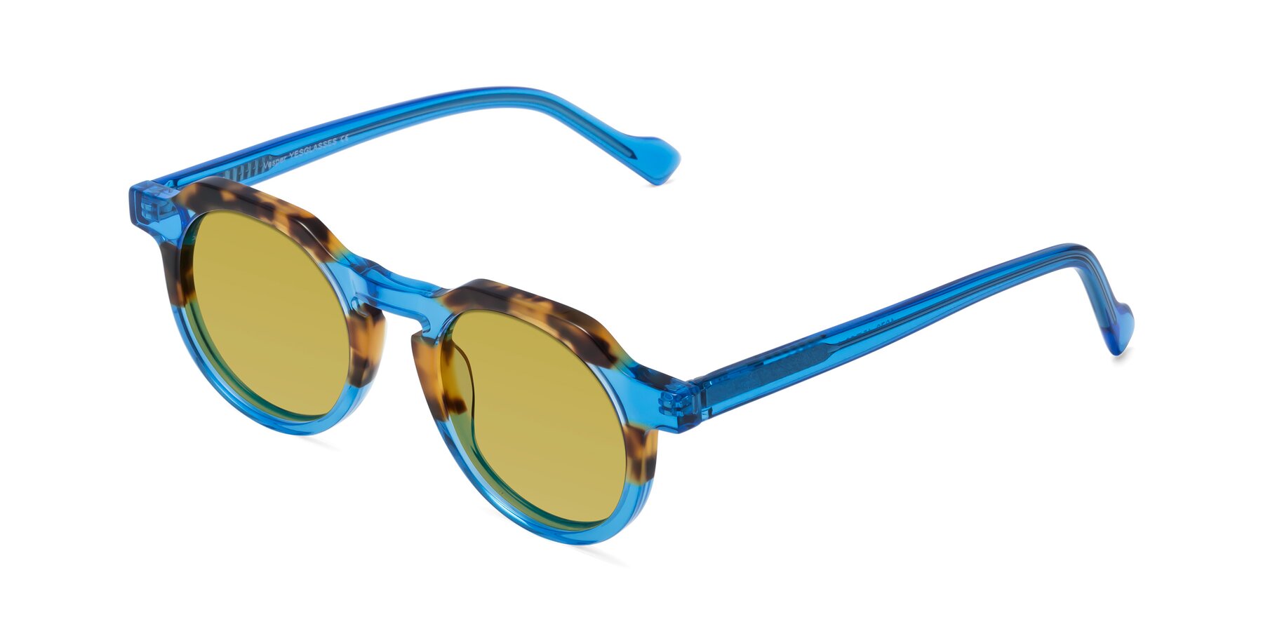 Angle of Vesper in Tortoise-Blue with Champagne Tinted Lenses