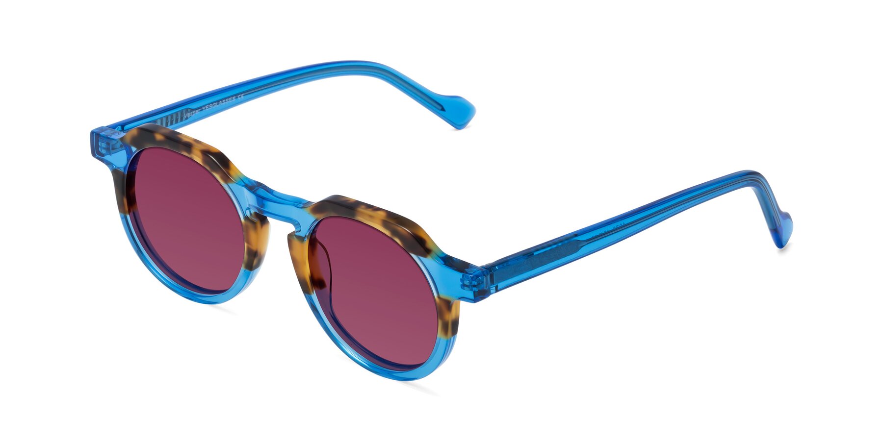 Angle of Vesper in Tortoise-Blue with Wine Tinted Lenses