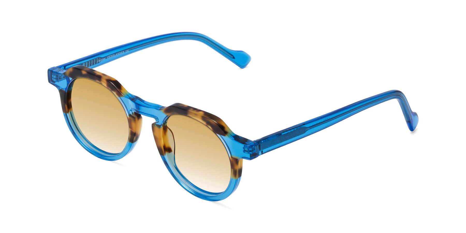 Angle of Vesper in Tortoise-Blue with Champagne Gradient Lenses