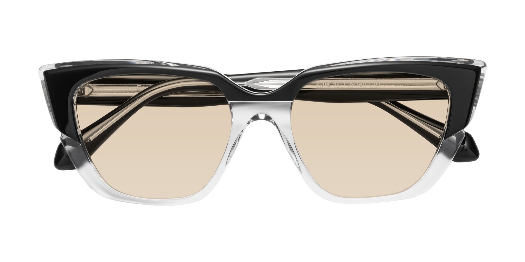 Folded Front of Eagle in Black-Clear with Light Brown Tinted Lenses