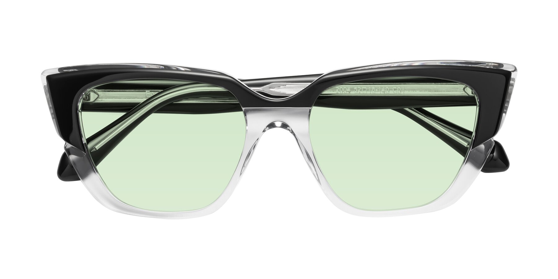 Folded Front of Eagle in Black-Clear with Light Green Tinted Lenses